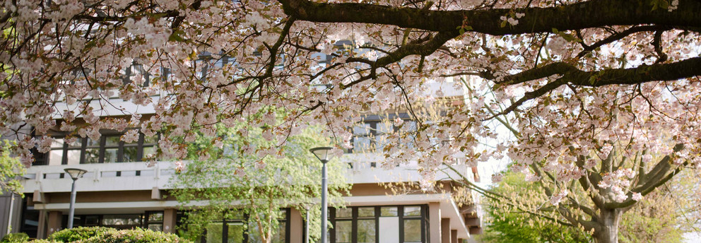 TU im Frühling_21 Gebäude der TU Dortmund umgeben von blühenden Bäumen.